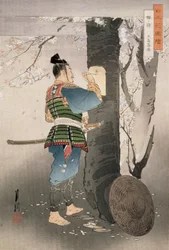 Kojima Takanori verset ír egy cseresznyefára, a „Japán virágainak képei” sorozatból, 1895